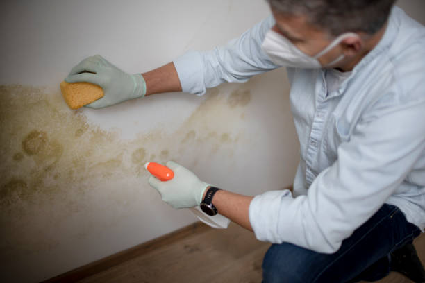 Best Mold Testing  in North Augusta, SC