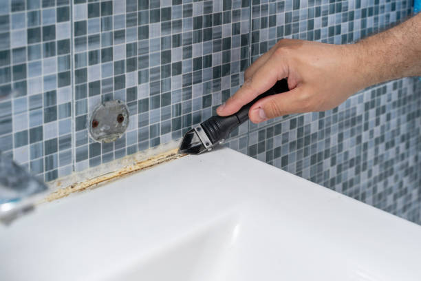 Certified Mold Removal in North Augusta, SC