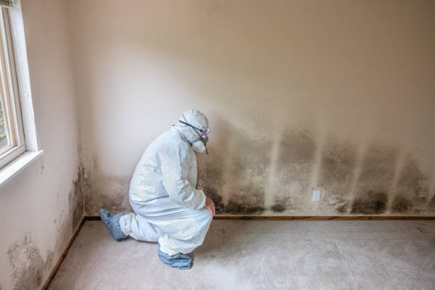 Water Damage Restoration in North Augusta, SC